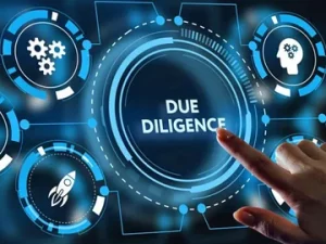 Due Diligence