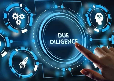 Due Diligence