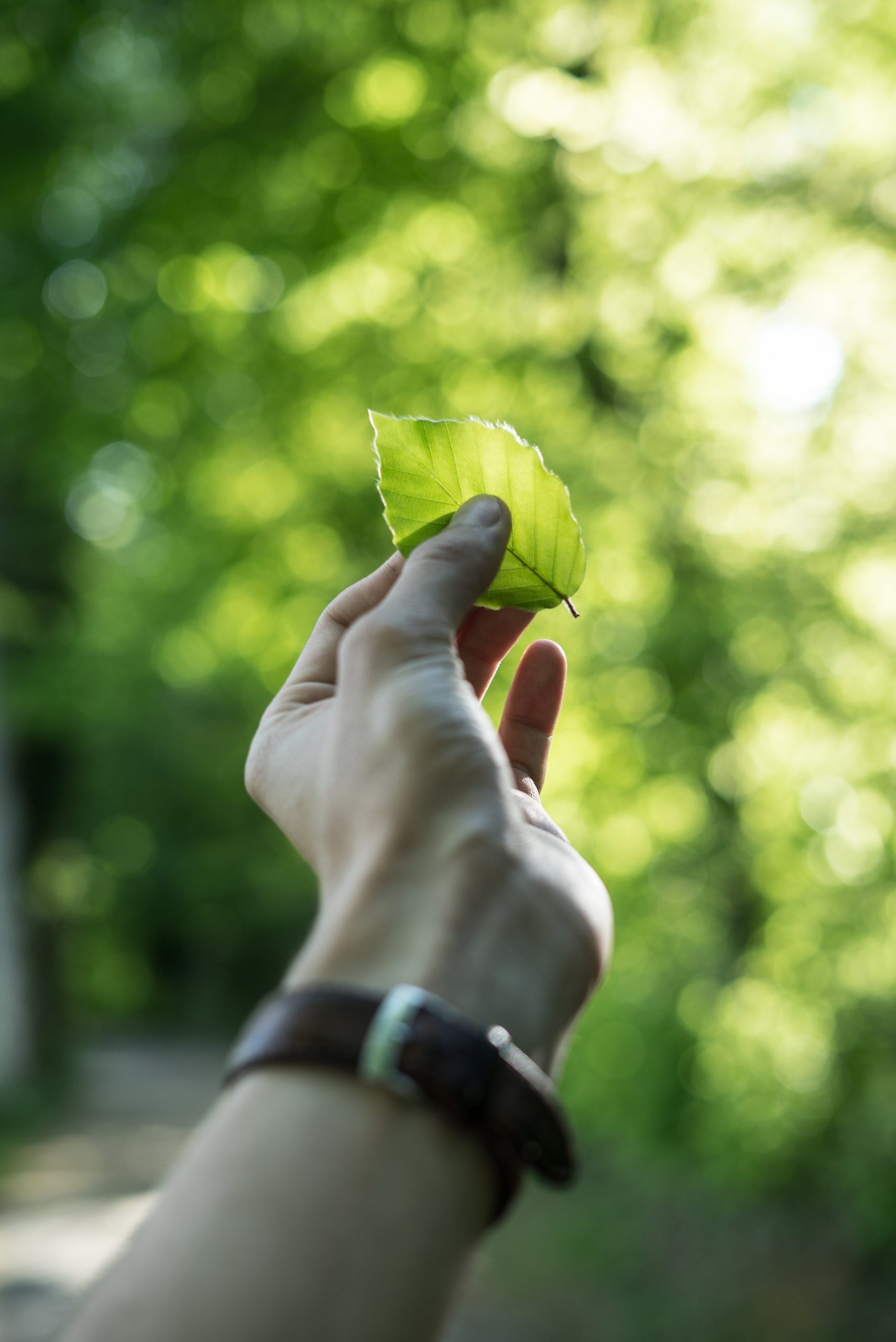 how-climate-change-will-reshape-the-job-market-in-2023-worldwidedigest