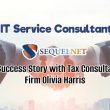 SQ NET - IT Services Consultant