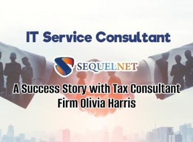 SQ NET - IT Services Consultant