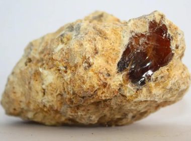 Ambergris