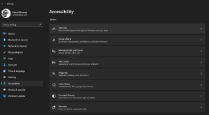 Windows 11 Accessibility