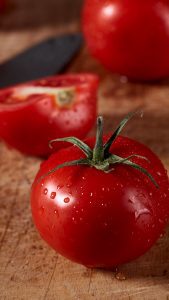 disease-resistant tomatoes