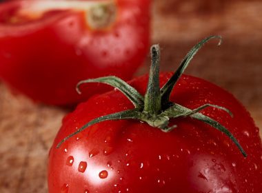 disease-resistant tomatoes