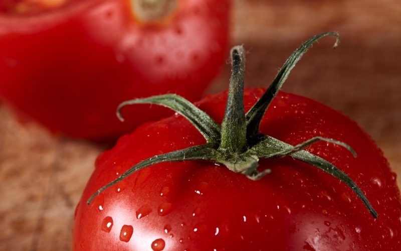 disease-resistant tomatoes