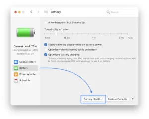  Diagnose battery issues