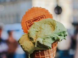 vegan ice cream