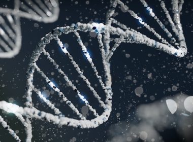 DNA