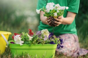 Container Gardens