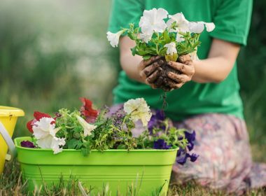 Container Gardens