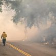 Sinus Health and Wildfire Smoke