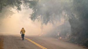 Sinus Health and Wildfire Smoke