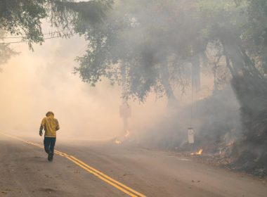 Sinus Health and Wildfire Smoke