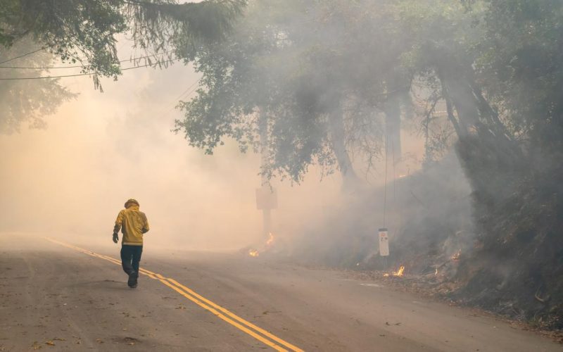 Sinus Health and Wildfire Smoke