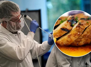 Future of Meat