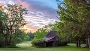 Homestead land