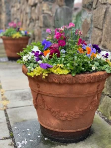 Potted Garden