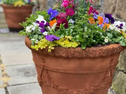 Potted Garden