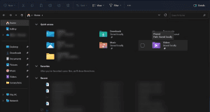 Files Explorer