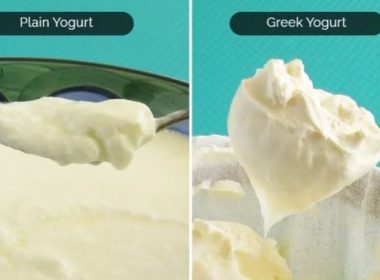 Yogurt Nutrition