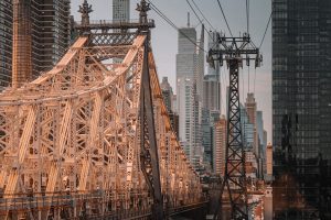 New York's Urban Pulse