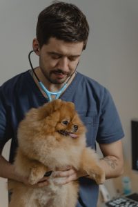 Veterinarian