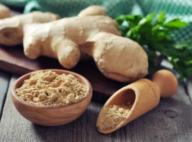 Power of Ginger