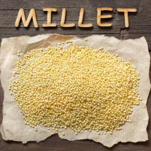 Millet Magic