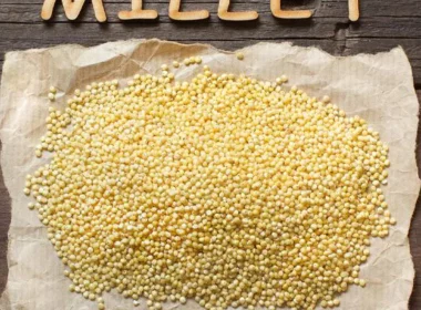 Millet Magic