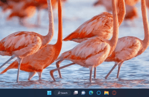 Window Taskbar