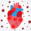 COVID-19 Affects the Heart