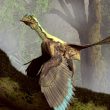 Birdlike Dinosaurs