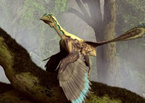 Birdlike Dinosaurs