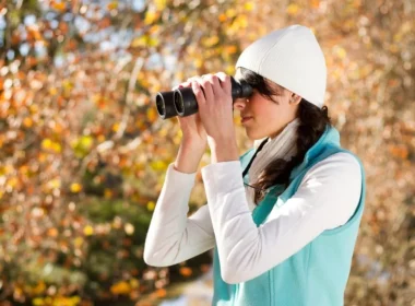 Birding and Stargazing