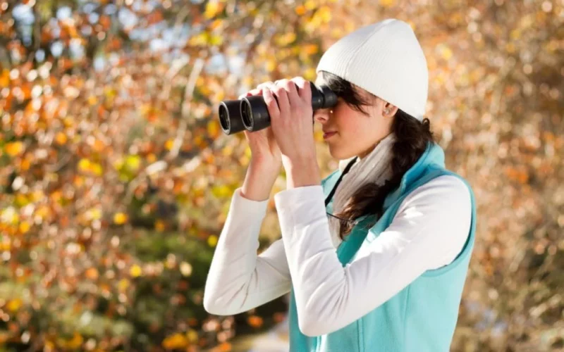 Birding and Stargazing