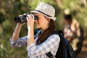 Birding and Stargazing