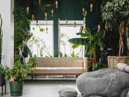 Biophilic Living