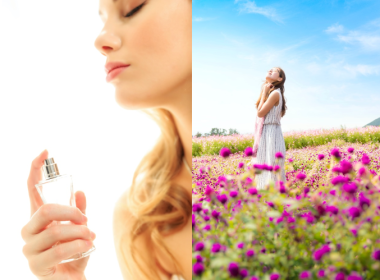 princess fragrance