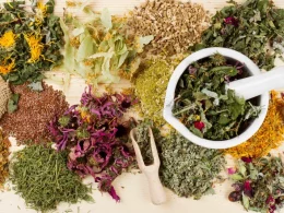 Anti-Aging Herbs