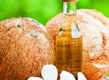 Magic of Coconut