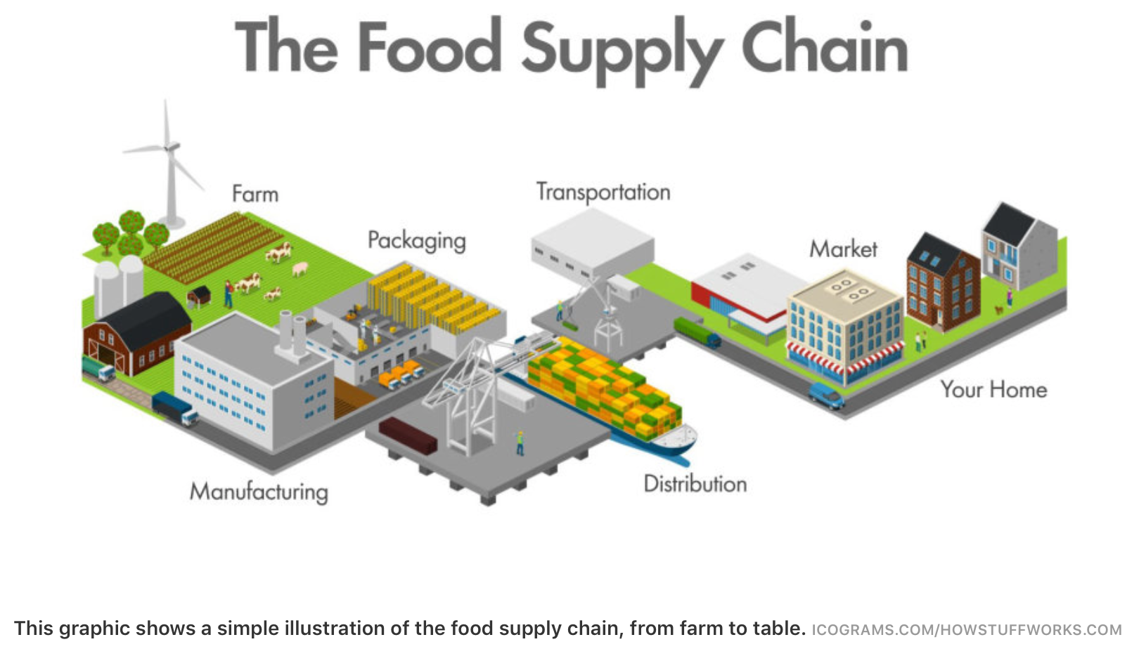 Supply Chain Resilience In Grocery Stocks