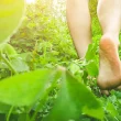 Walking Barefoot