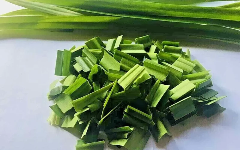 Pandan Leaves