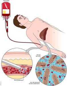 Blood Transfusion Recipients