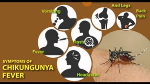 Chikungunya