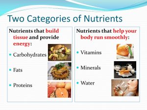 6 Essential Nutrients