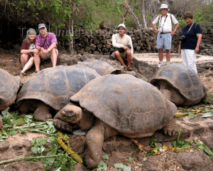 Galapagos Unveiled