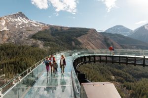 Skywalk Suspension Bridge