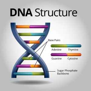 DNA Impact 